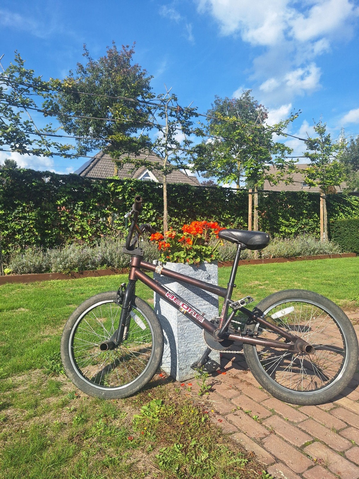 BMX, Ophalen, Gebruikt, Staal, Velgrem