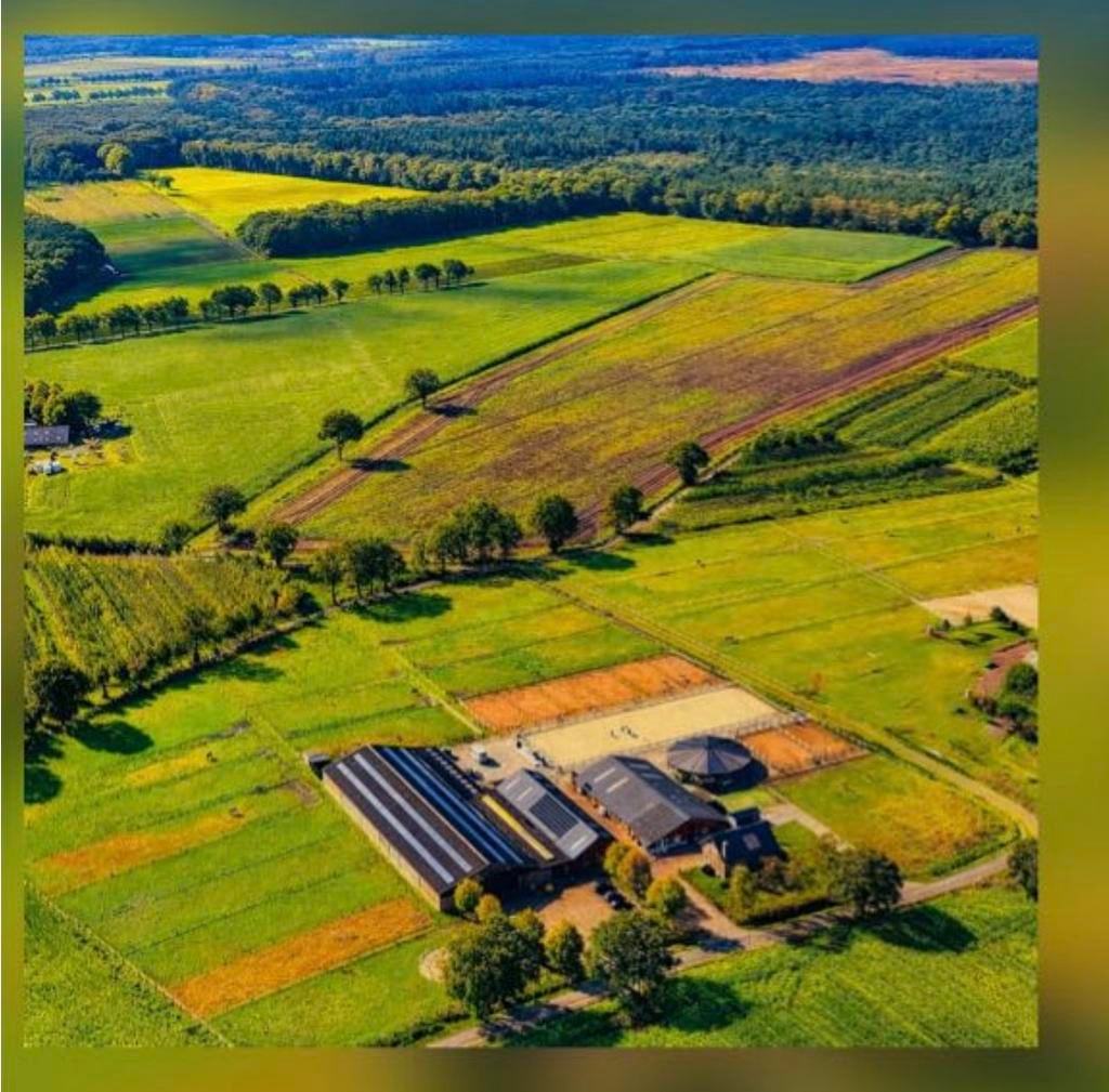 Gereserveerd ( 2 exclusive plejes vrij in Hilvarenbeek), Dieren en Toebehoren