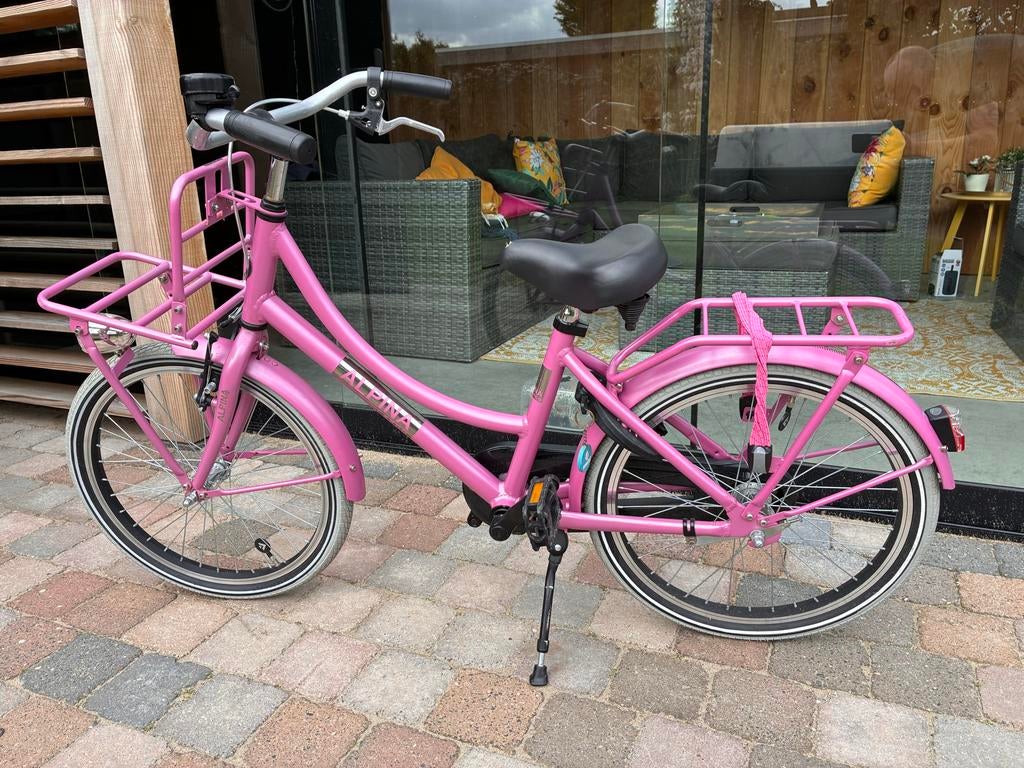 Roze Alpina  cargo meisjesfiets 20 inch, Fietsen en Brommers, Fietsen | Meisjes, Ophalen, Gebruikt, 20 inch, Handrem
