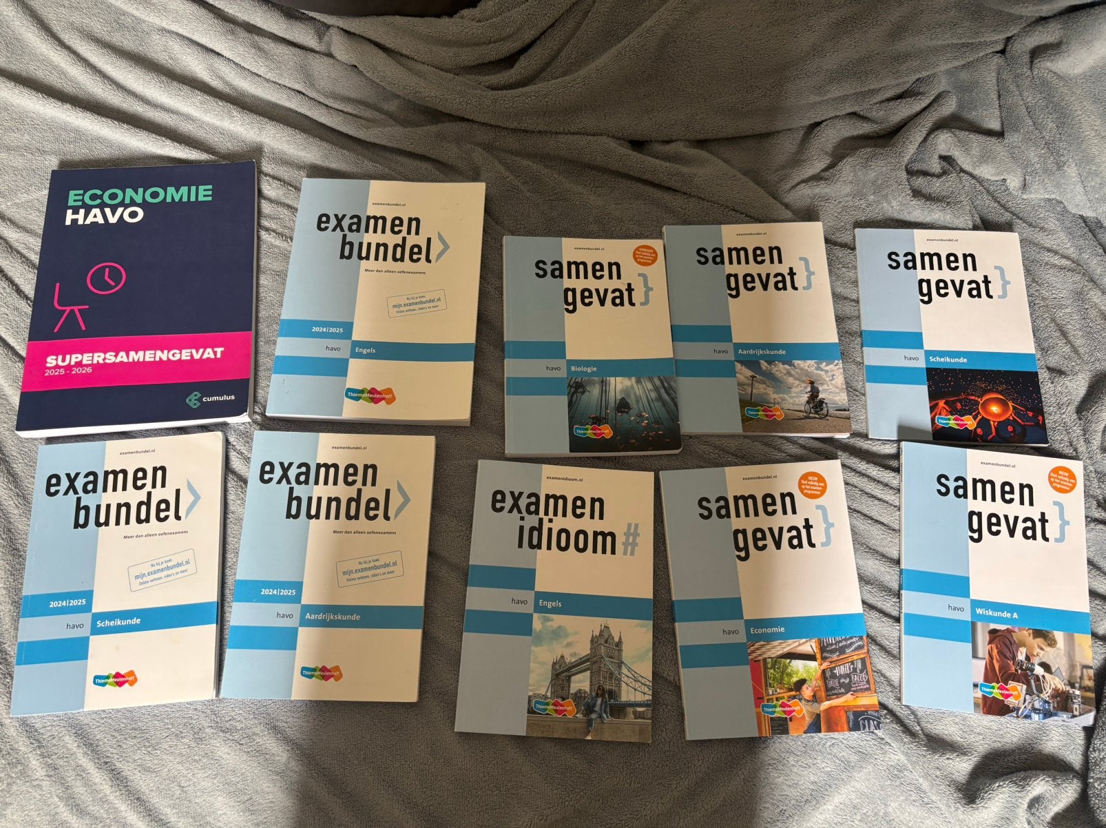 Examenbundels, Samengevat & Examenidioom HAVO 2024/2025/2026, Boeken, Schoolboeken, Ophalen of Verzenden, Zo goed als nieuw, HAVO