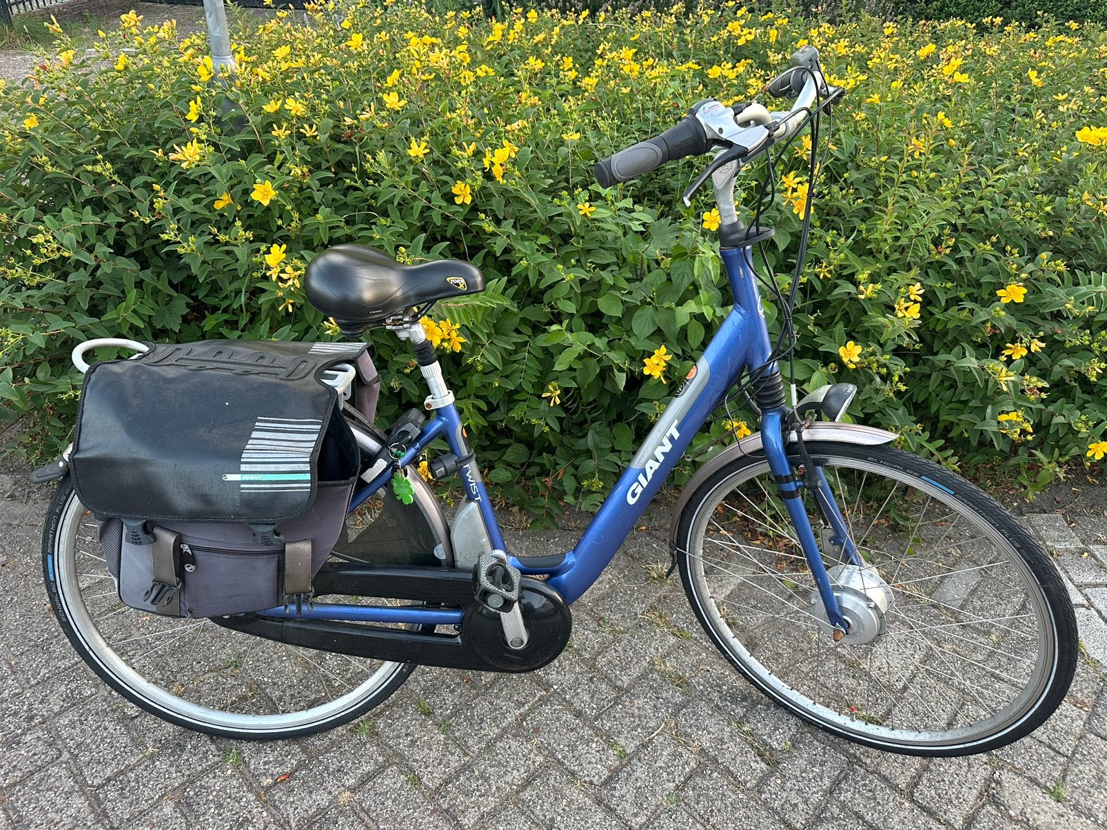 Giant Elektrische fiets met Dubbele Accu op bagagedrager, Ophalen, Zo goed als nieuw, Overige merken