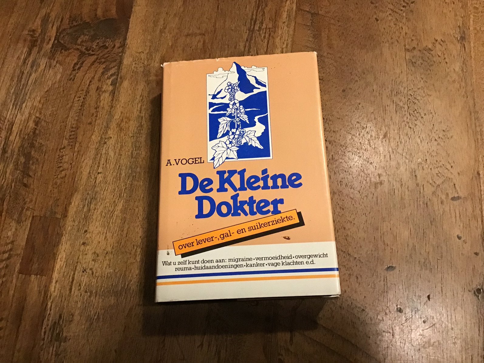 De kleine dokter lever , gal en suikerziekte A. Vogel, Boeken, Ophalen of Verzenden, Zo goed als nieuw, Kruiden en Alternatief