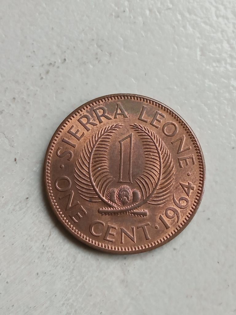 Sierra Leone 1 cent 1964., Ophalen of Verzenden, Overige landen, Losse munt