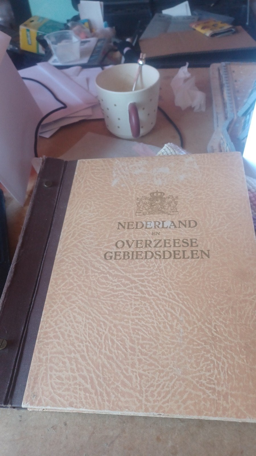 LEEG Postzegelalbum Nederland en Overzeese Gebiedsdelen, Ophalen of Verzenden