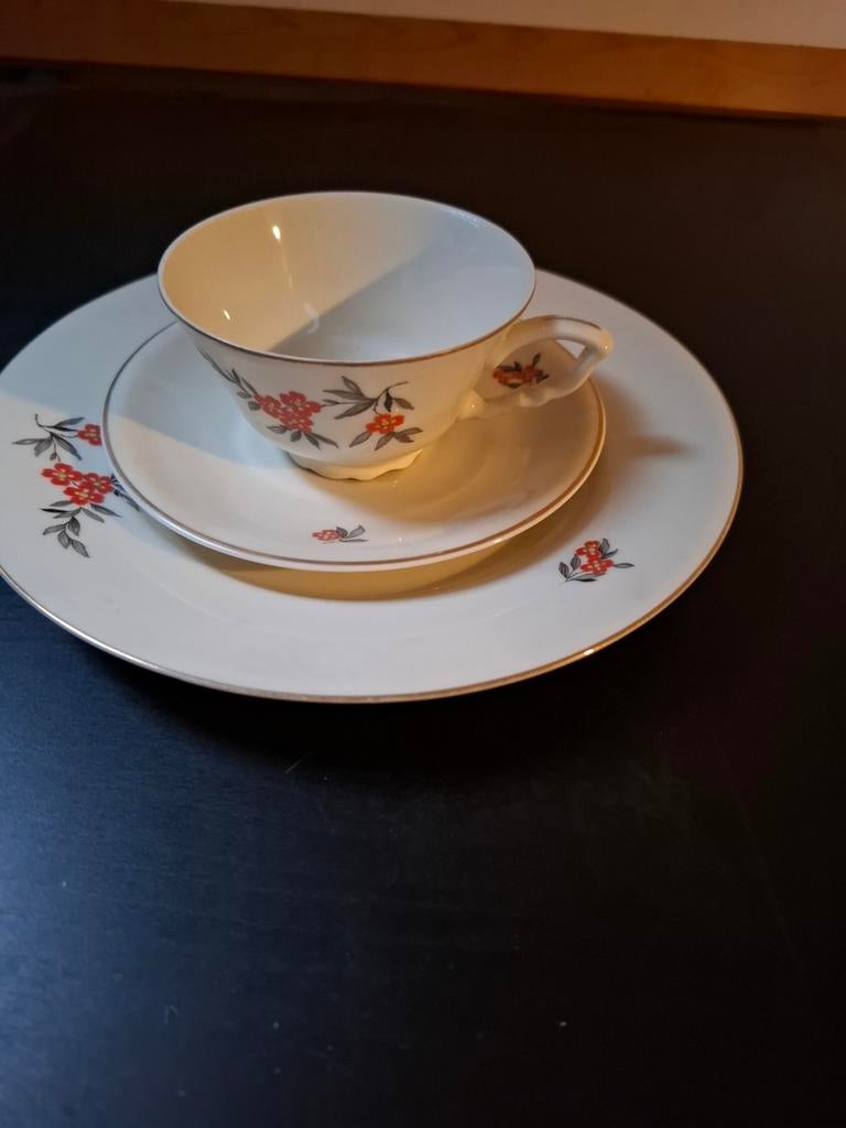Bord met kop en schotel, Ophalen of Verzenden, Zo goed als nieuw, Porselein, Kop en/of schotel