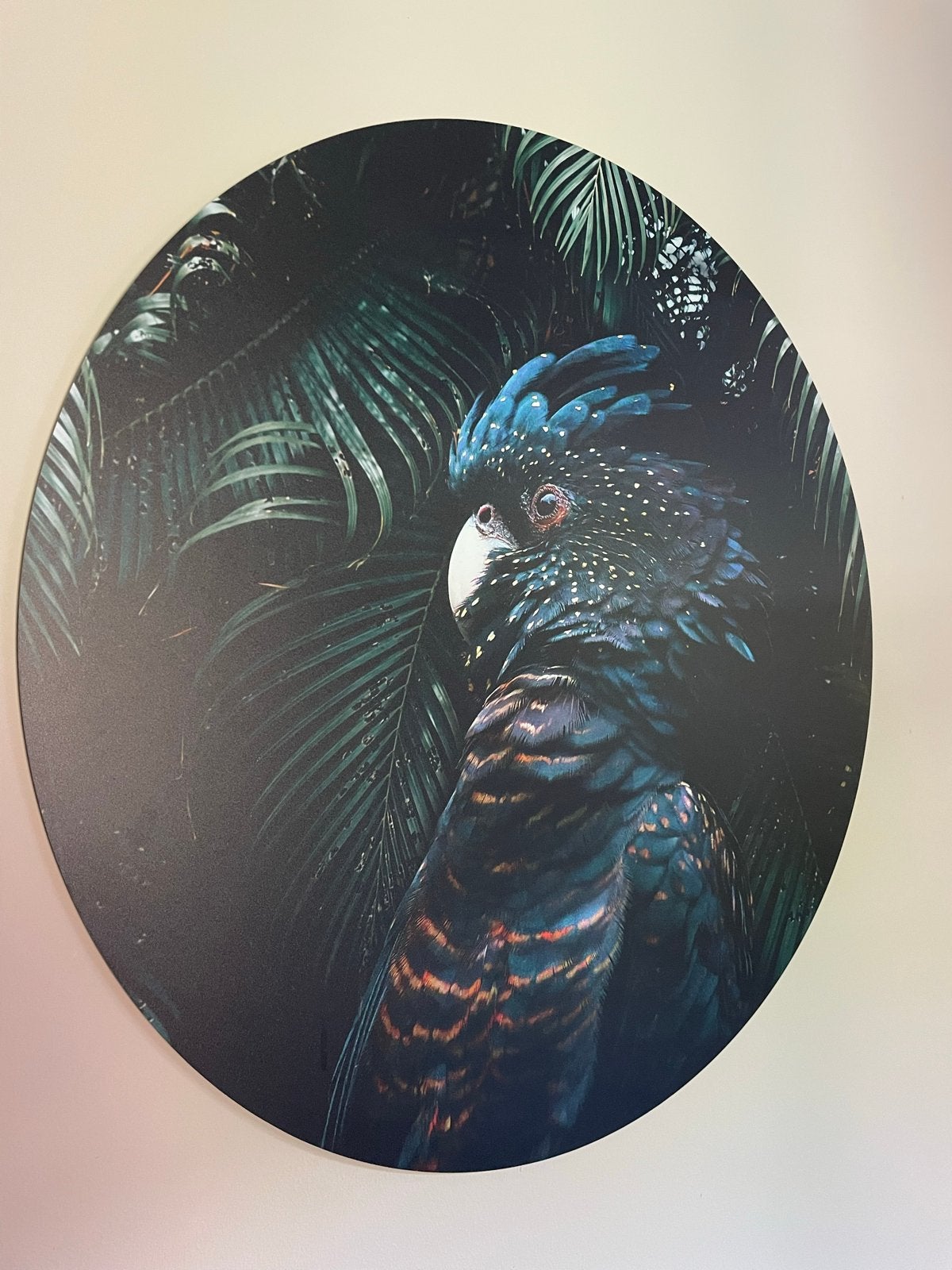 Wandcirkel jungle Kaketoe 80 cm, Ophalen, Zwart, Composieten, Zo goed als nieuw
