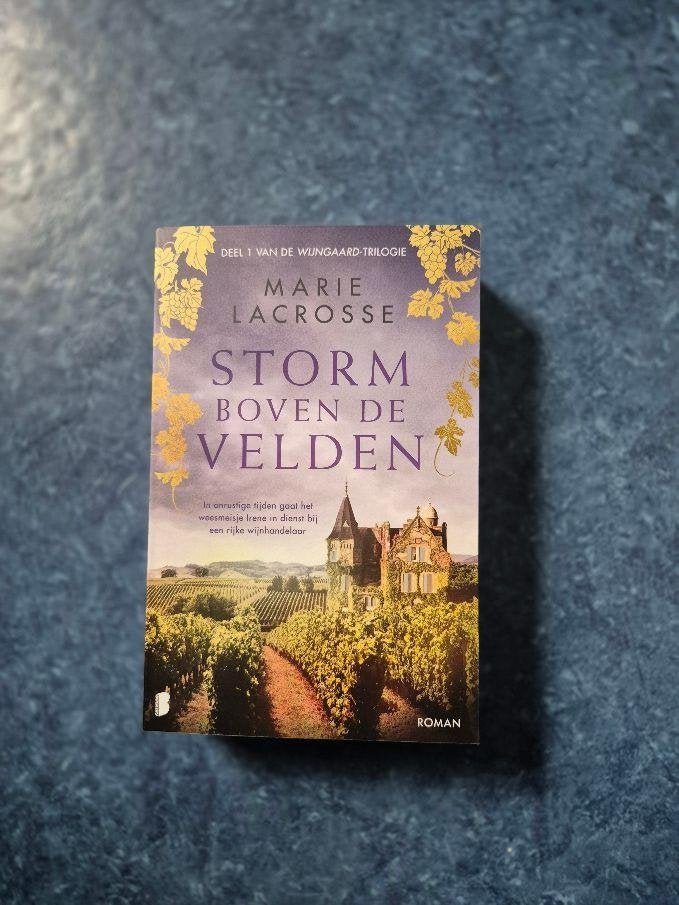 Storm boven de velden van Marie Lacrosse, Ophalen of Verzenden, Nieuw, Marie Lacrosse, Nederland