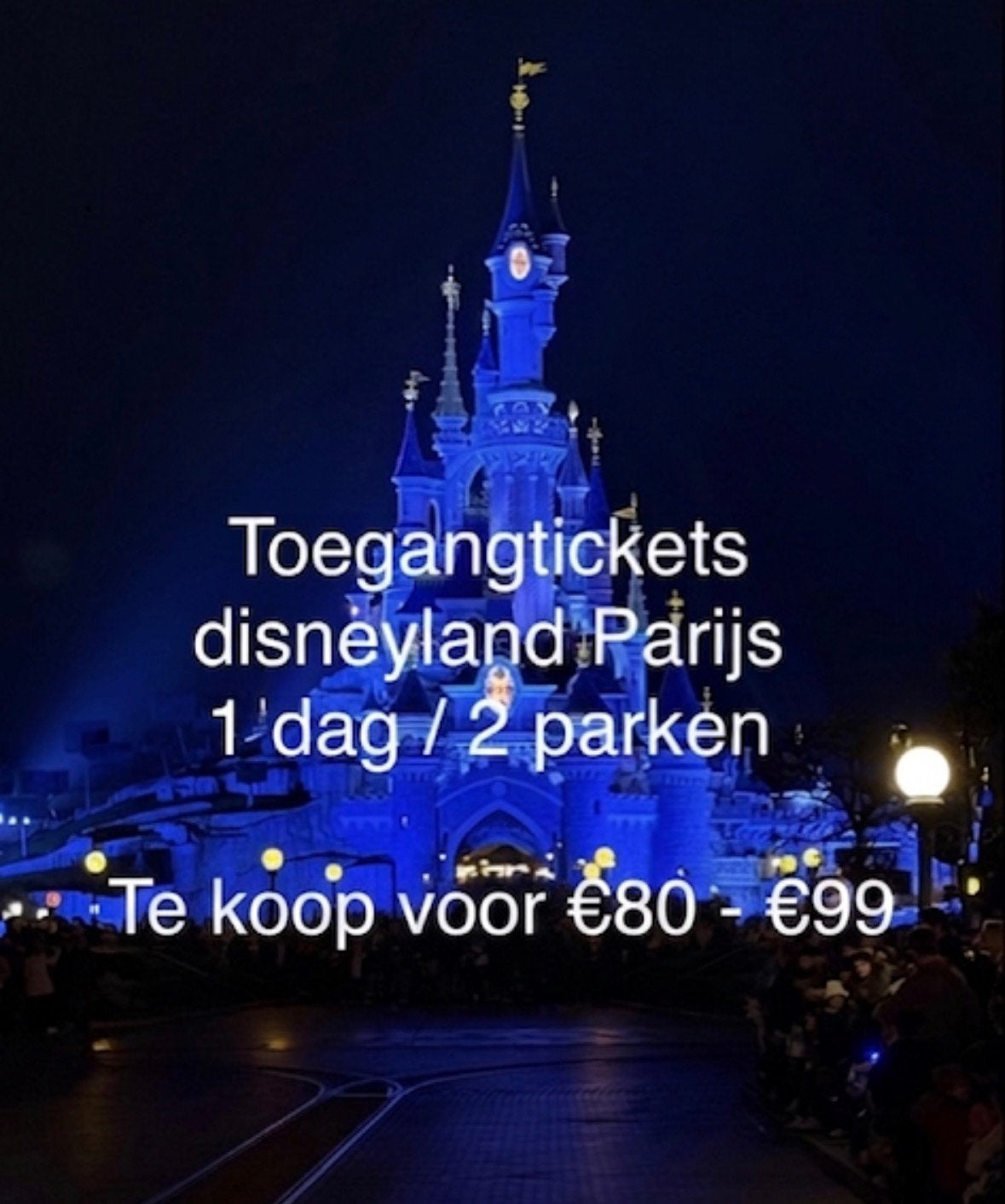 Disneyland Parijs 1 dag / 2 parken tickets, Twee personen, Ticket of Toegangskaart