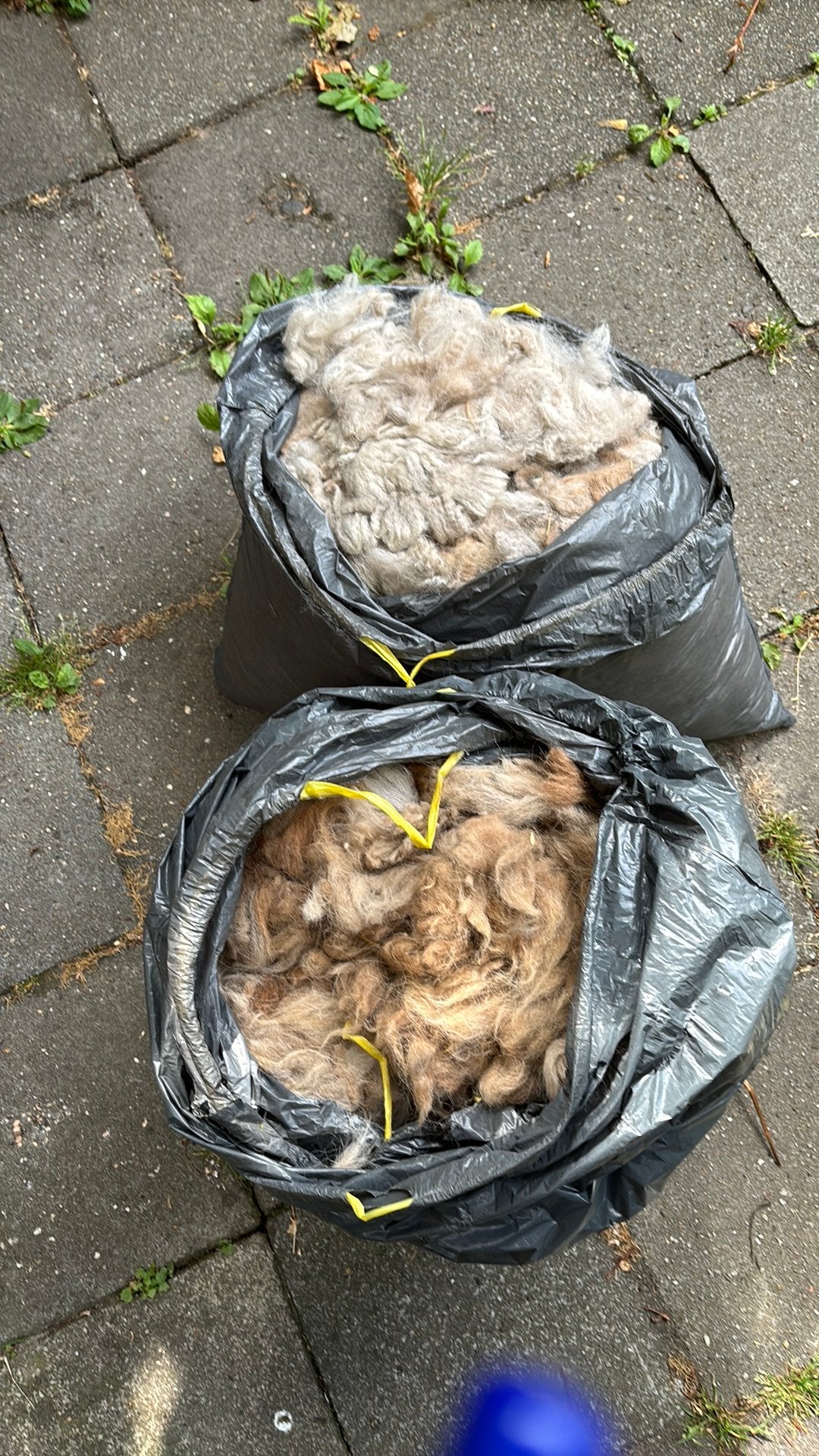 Alpacawol gratis, Hobby en Vrije tijd, Spinnewielen en Spinnen, Ophalen, Zo goed als nieuw, Spinwol
