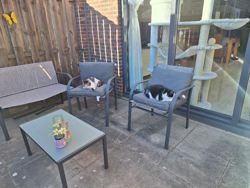 Tuinset, Ophalen, 4 zitplaatsen, Bank, Tuinset