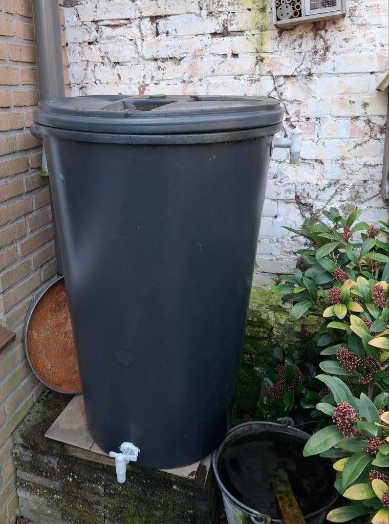 Regenton ( nieuw), Tuin en Terras, Regentonnen, Nieuw, 150 liter of meer, Ophalen