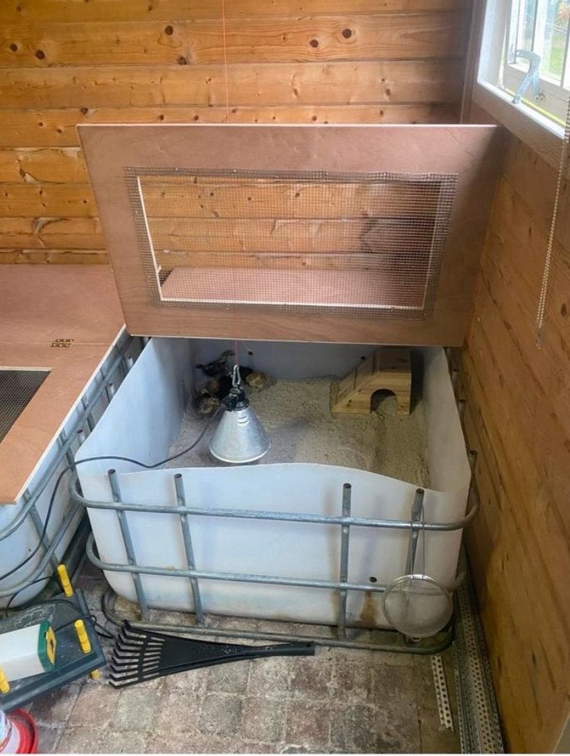 Grote opfok bak voor kuikens, Dieren en Toebehoren, Ophalen of Verzenden, Drinken en Voederen