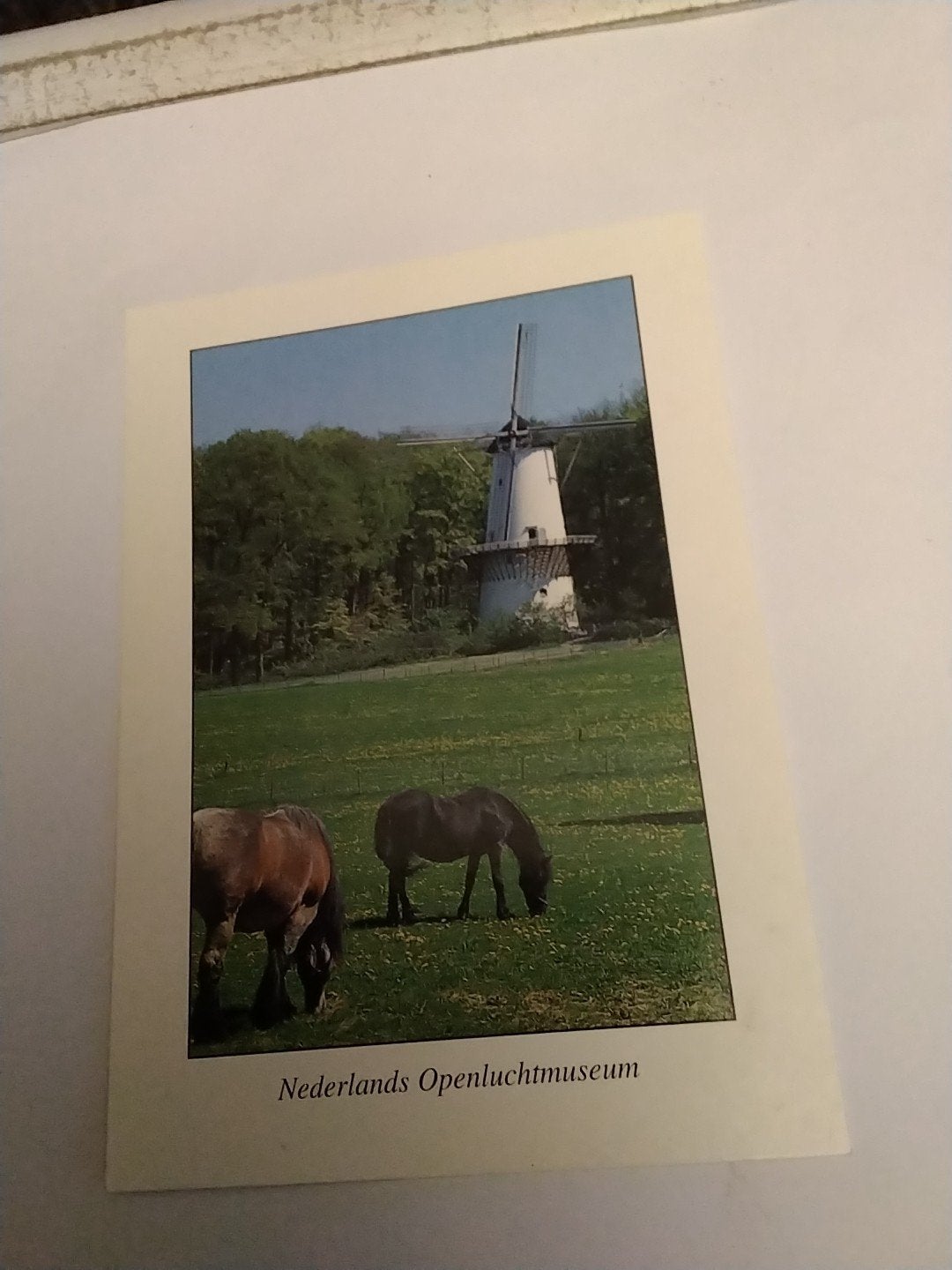 Windkorenmolen DELFT Openluchtmuseum Arnhem, Ophalen of Verzenden, 1980 tot heden, Ongelopen, Gelderland