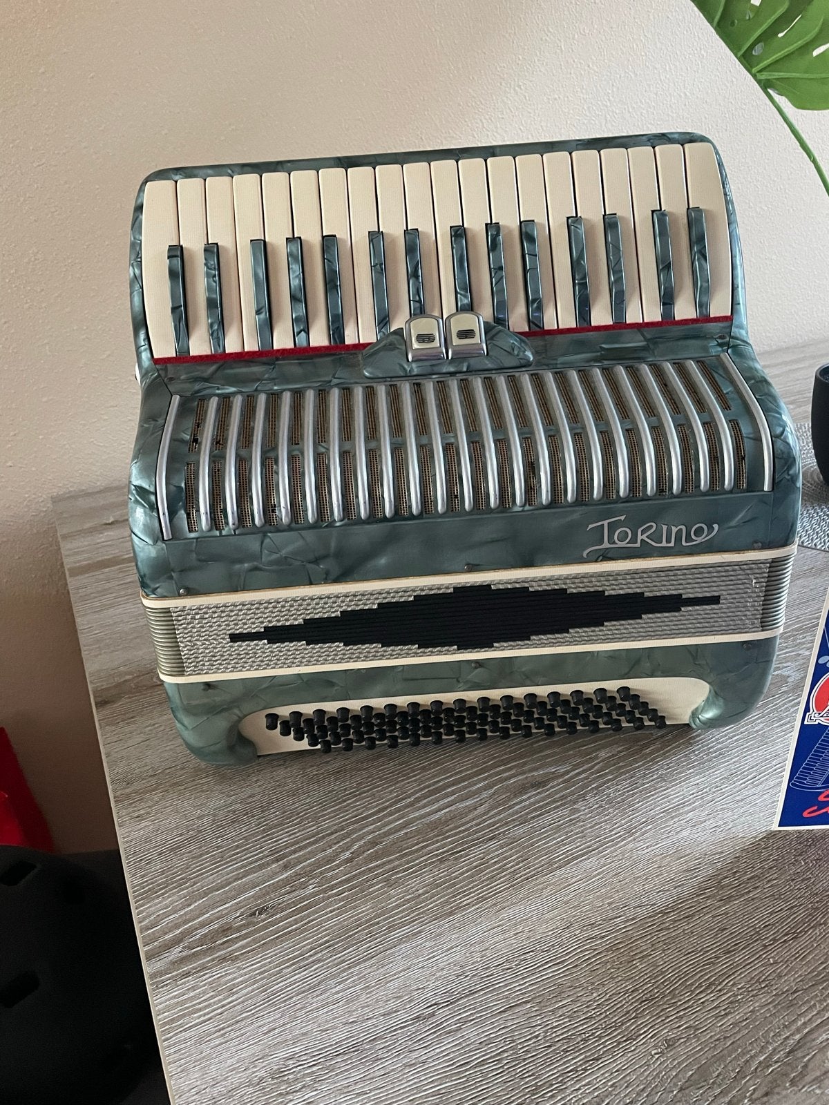 Scandalli Torino Accordeon met koffer en riemen, Muziek en Instrumenten, Accordeons, Ophalen, Gebruikt, Overige formaten, Scandalli