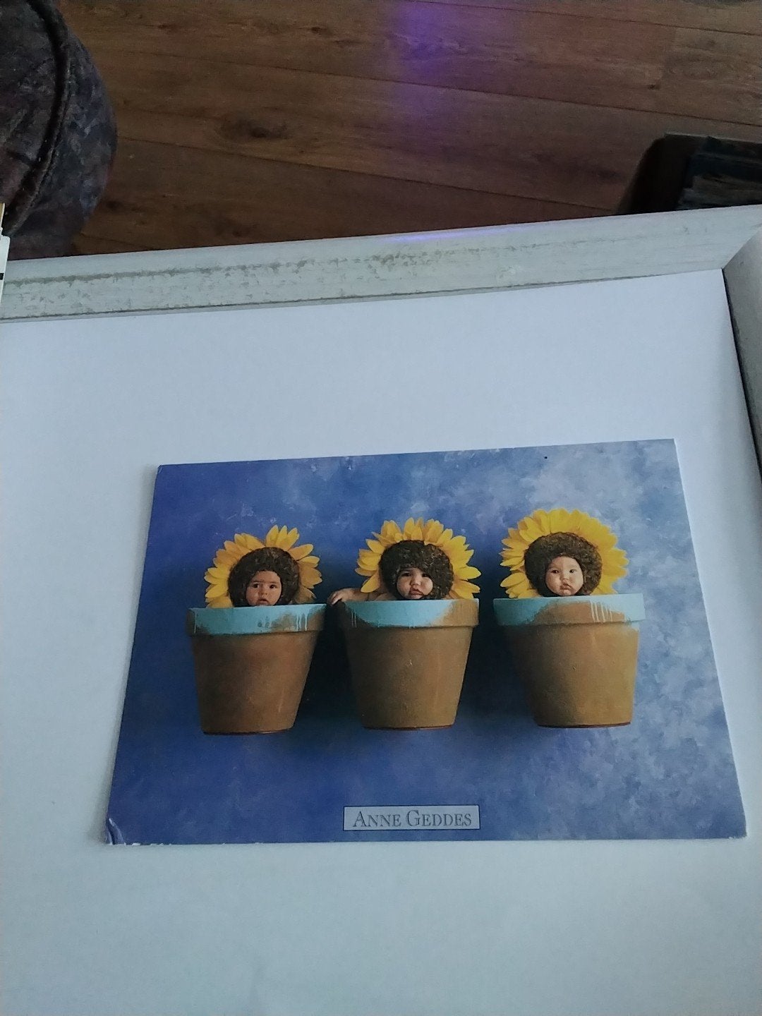 Ansichtkaart Anne Geddes - Zonnebloem baby's, Verzamelen, Ophalen of Verzenden, 1980 tot heden, Gelopen