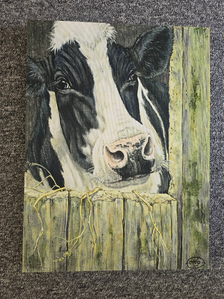 koe schilderij, Huis en Inrichting, Woonaccessoires | Schilderijen, Tekeningen en Foto's, Ophalen, Minder dan 50 cm, Print, 50 tot 75 cm