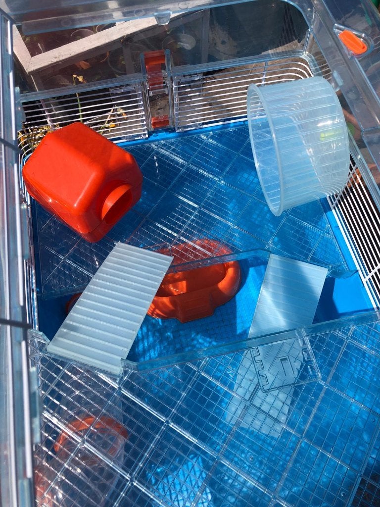 Hamster hok, Dieren en Toebehoren, Minder dan 75 cm, Zo goed als nieuw, Hok, Cavia