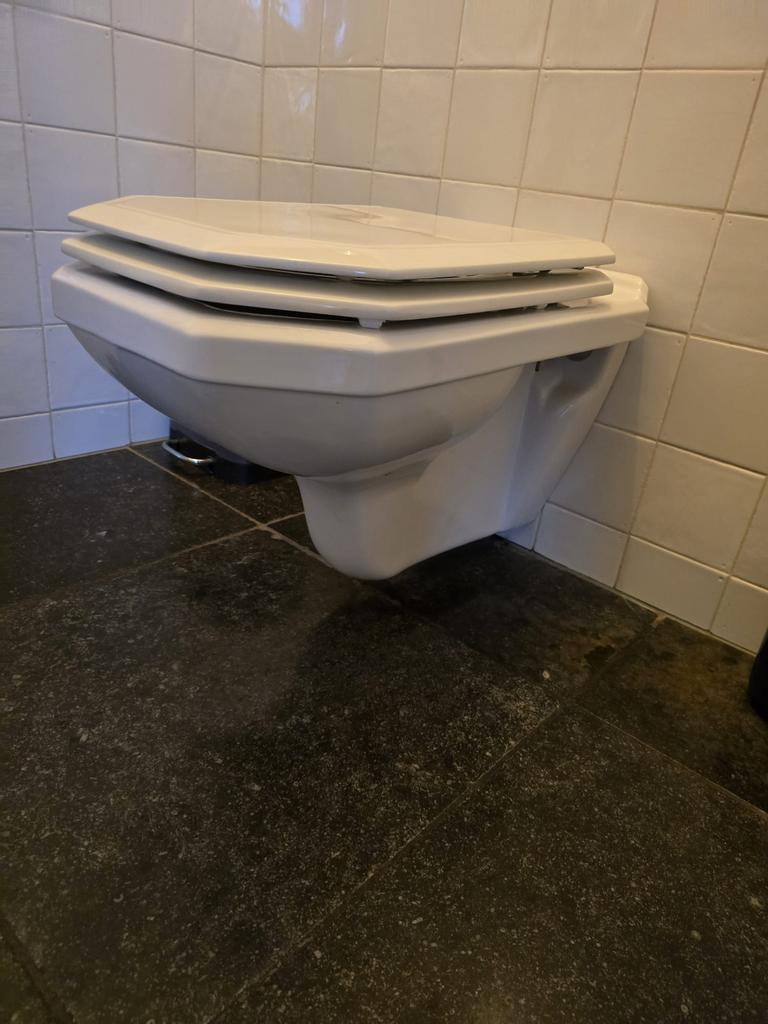 Wcpot / toiletpot + fontijntje, Ophalen, Toilet