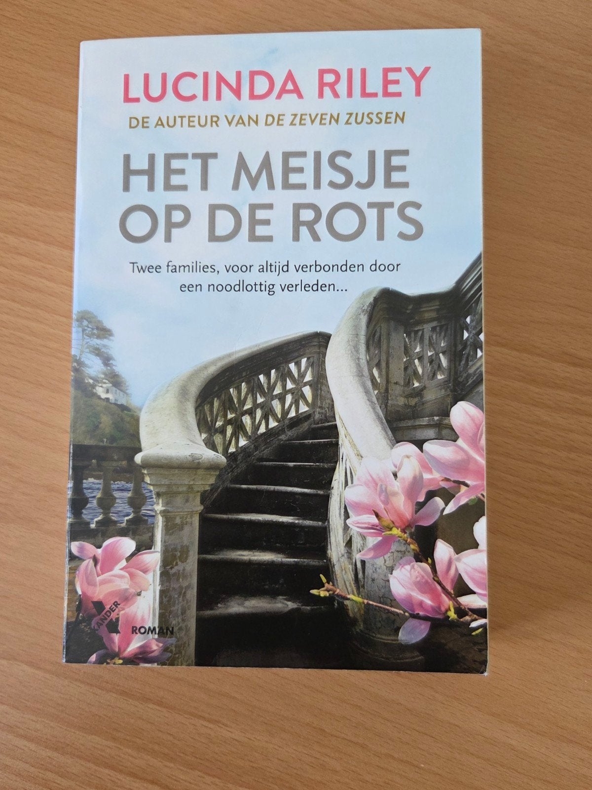 Het Meisje op de Rots - Lucinda Riley (Roman), Boeken, Ophalen of Verzenden, Zo goed als nieuw, Lucinda Riley, Nederland