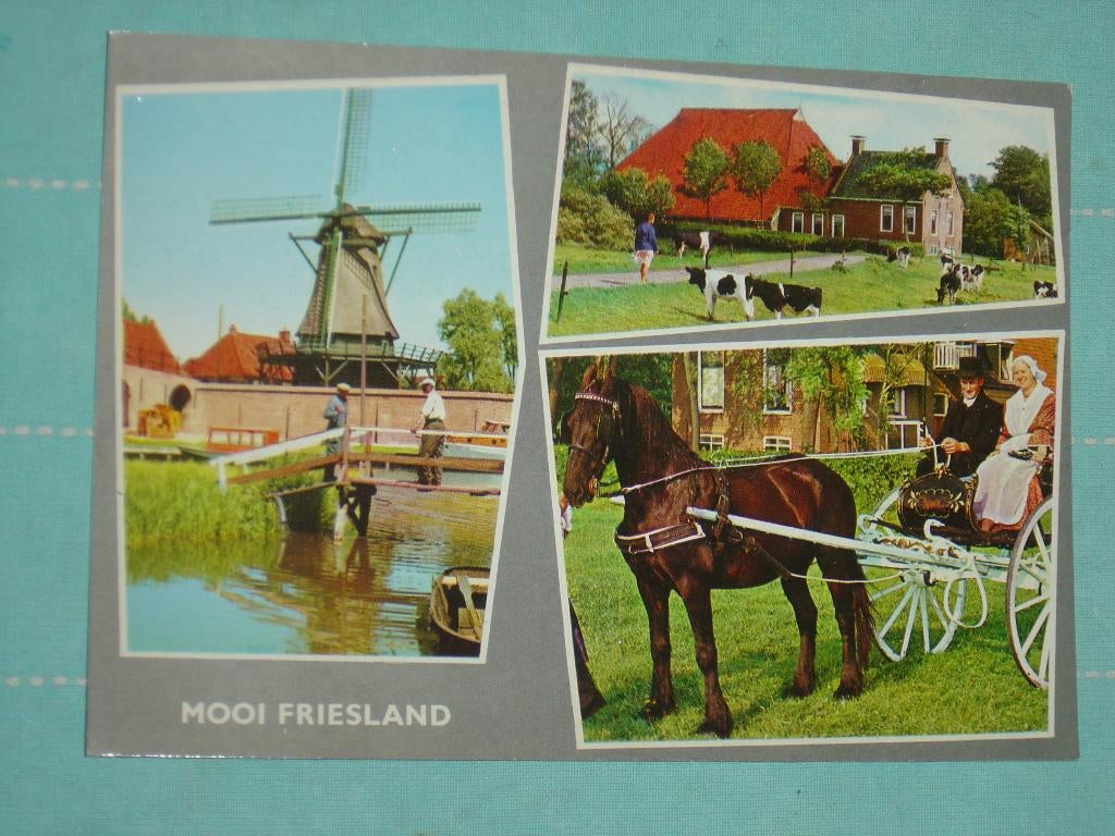 4) Kleuren ansichtkaart  w.o. klederdracht  Friesland, Ophalen of Verzenden, Ongelopen, Friesland