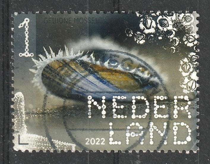 njv--241 N beleef de natuur 2022 gewone Mossel, Postzegels en Munten, Ophalen of Verzenden, Na 1940, Gestempeld