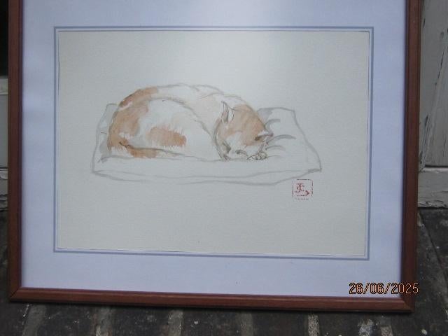 Leuke aquarel v/e slapend poesje, Antiek en Kunst, Ophalen of Verzenden