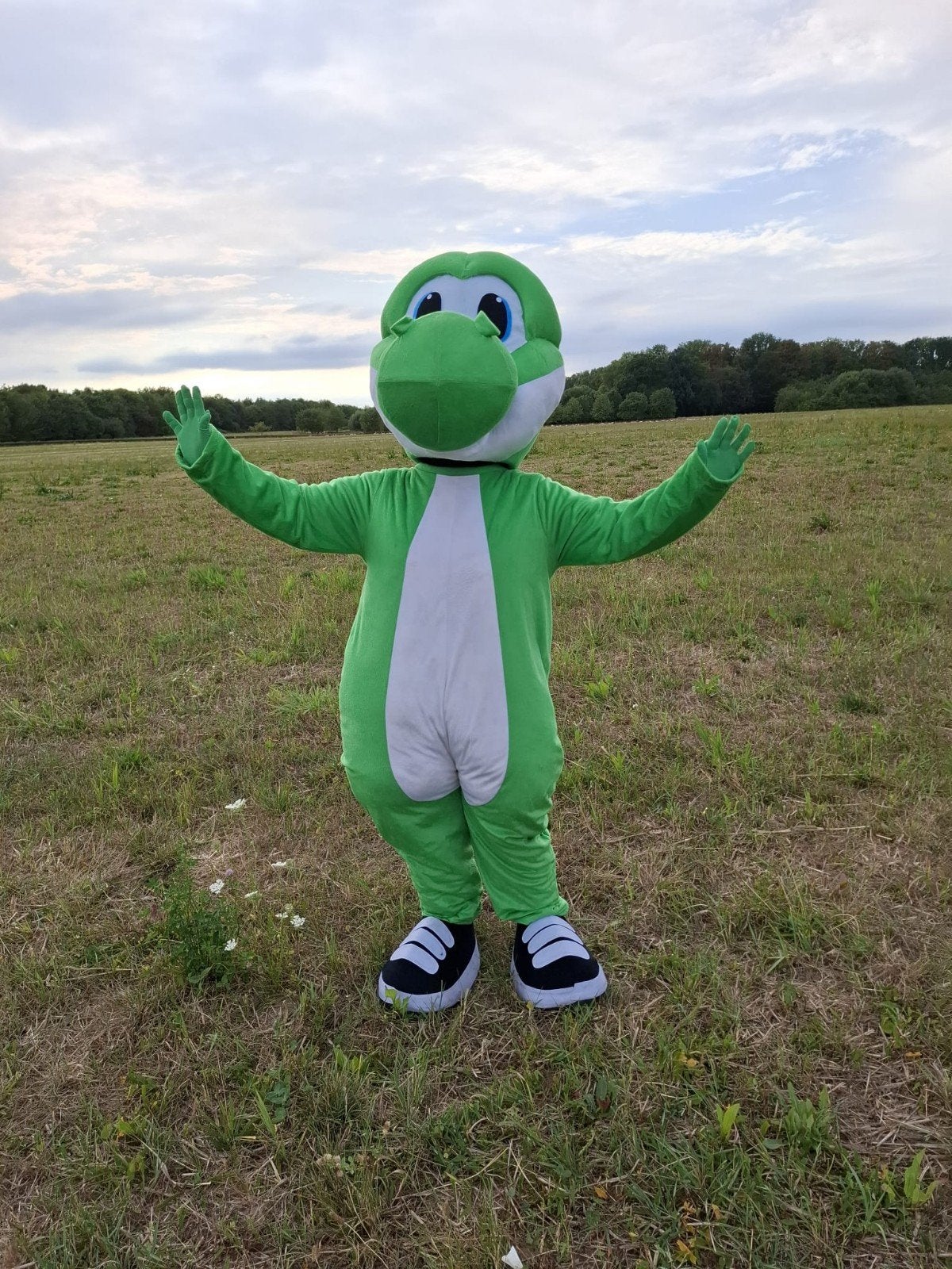 Yoshi Mascotte Te Huur - Met of Zonder Acteur, Ophalen of Verzenden