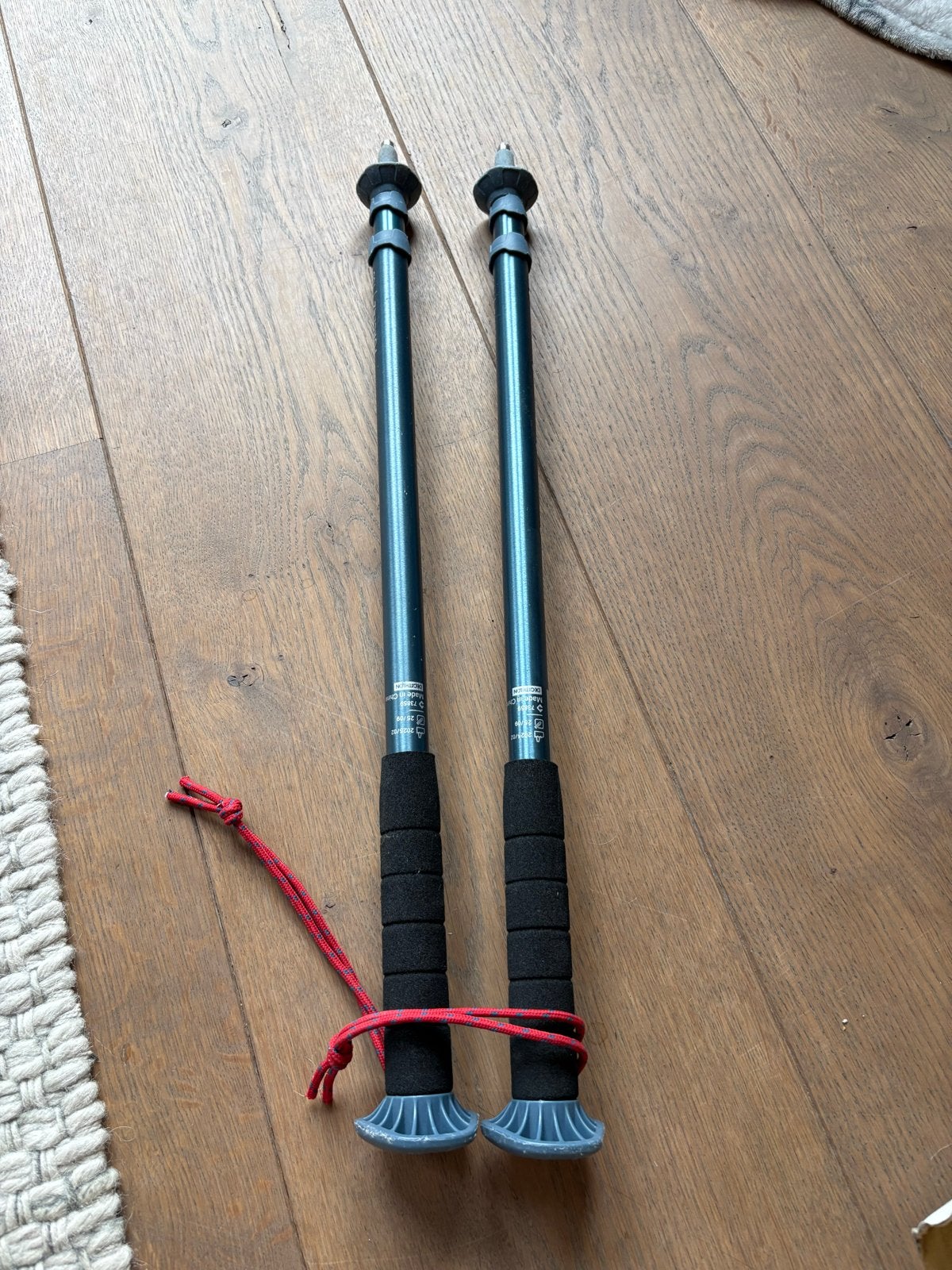 Forclaz 100 Wandelstokken, Ophalen of Verzenden, Zo goed als nieuw, Wandelstok