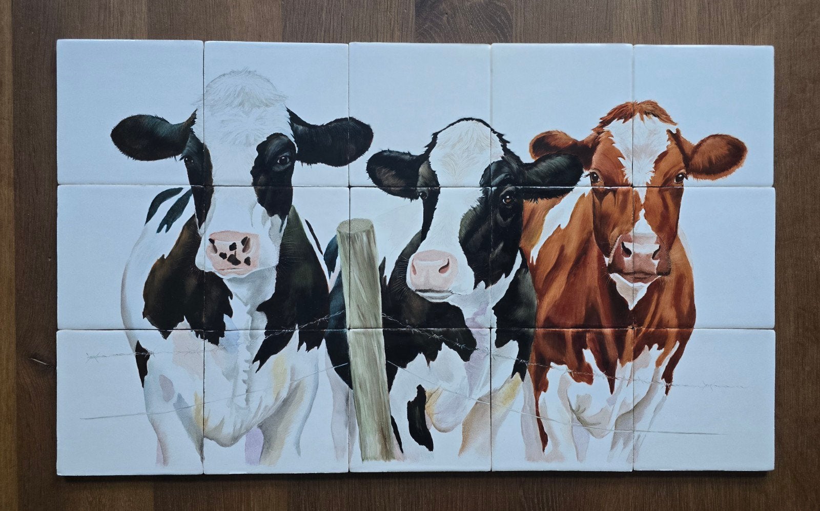 Handbeschilderd tegeltableau op authentieke Friese witjes, 40 tot 60 cm, Nieuw, Ophalen of Verzenden, Wandtegels