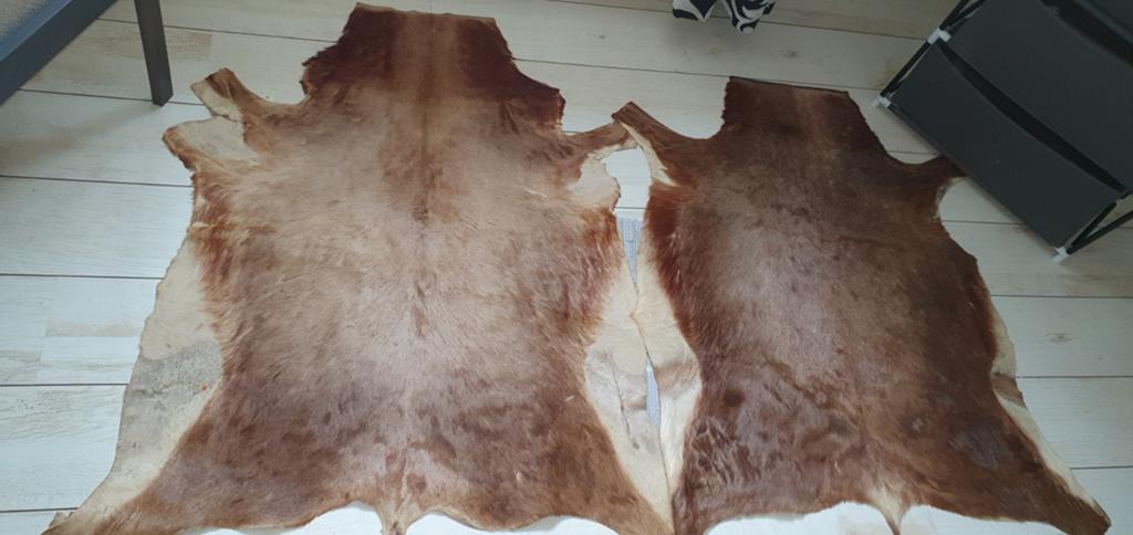 Te koop 2 geiten kleden voor op grond of tafel, Ophalen, Rechthoekig, 50 tot 100 cm