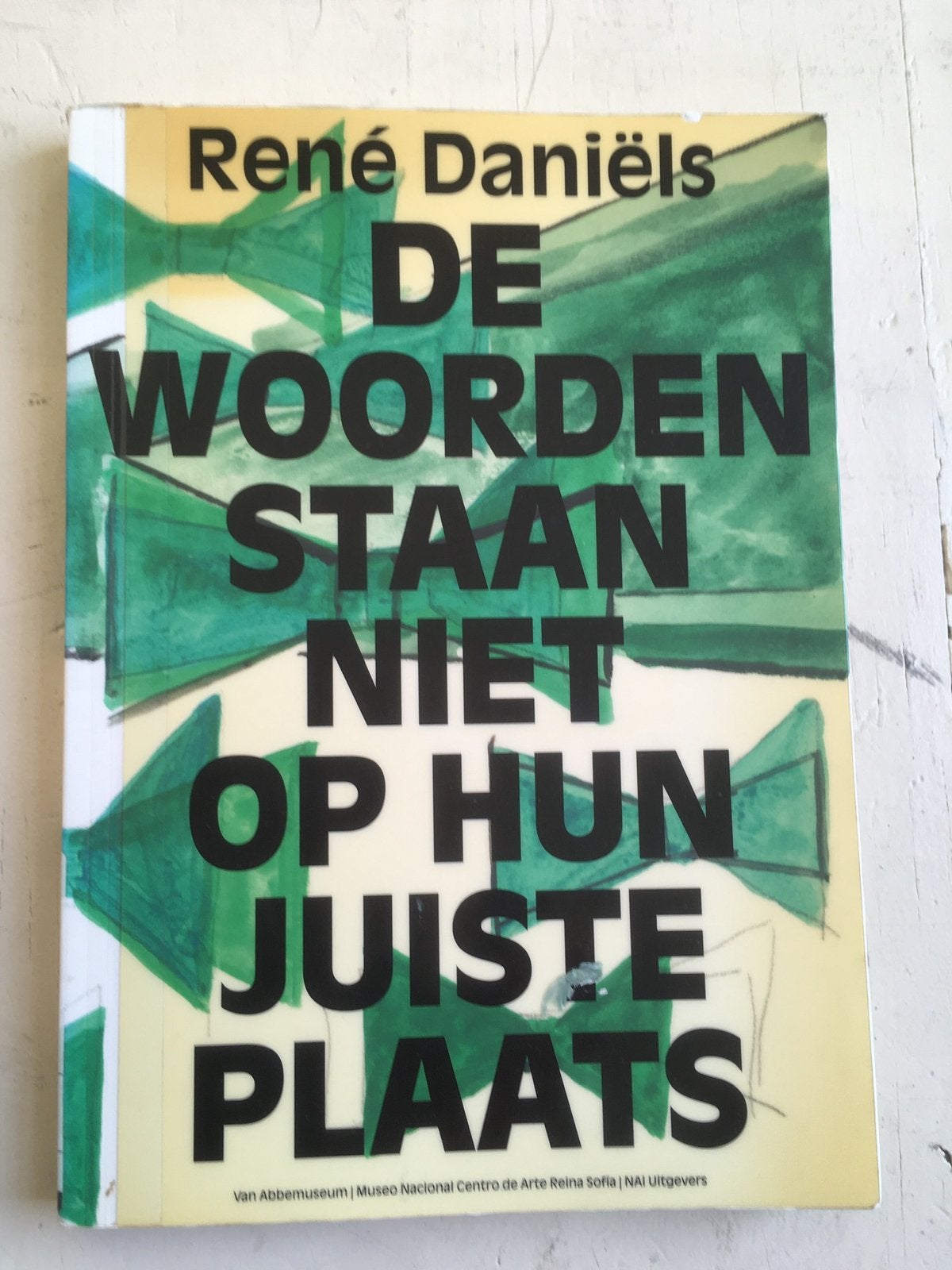 René Daniëls - de woorden staan niet op hun juiste plaats, Boeken, Ophalen of Verzenden, Zo goed als nieuw