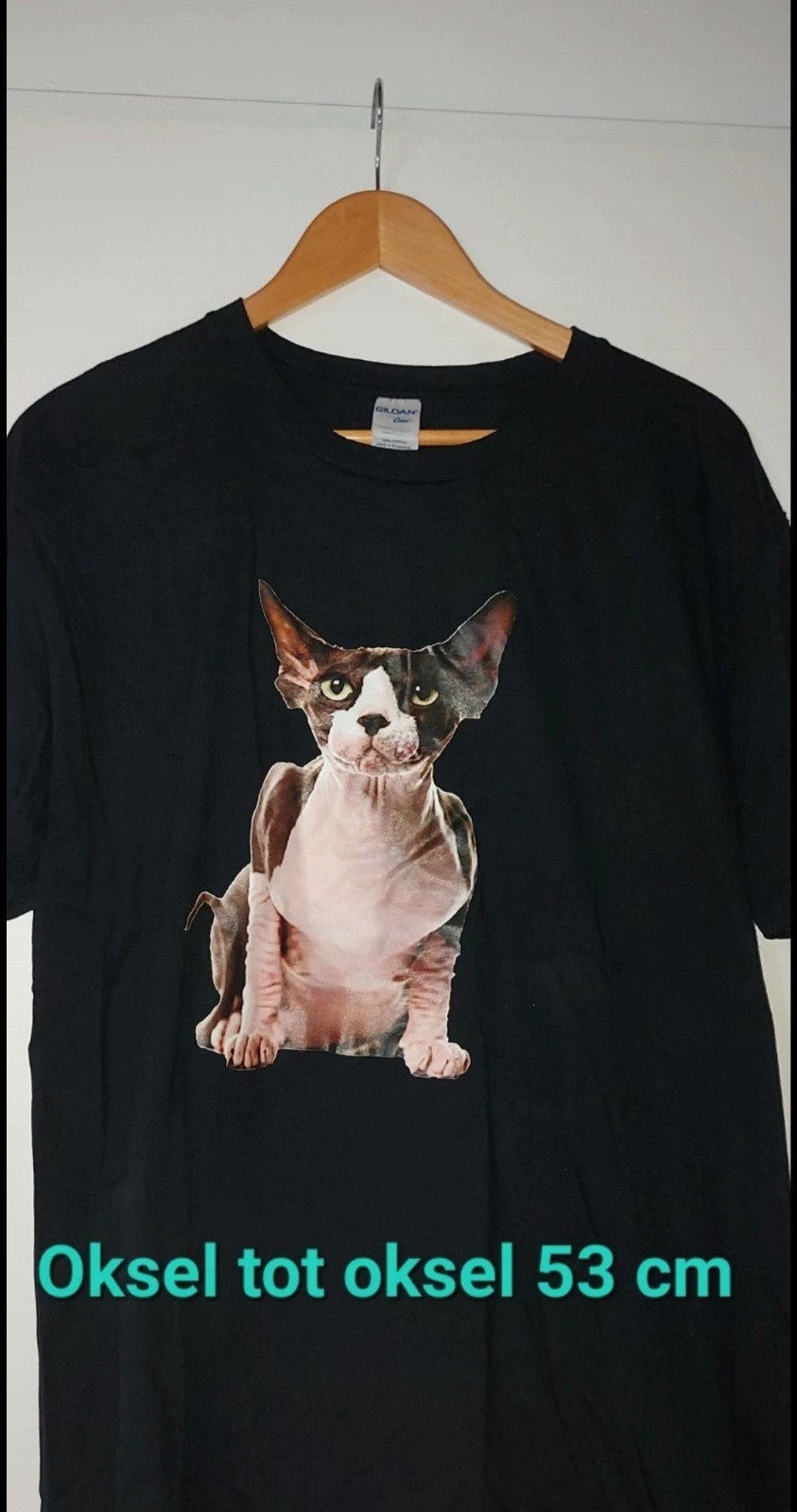 Sphynx, sphynx shirt, sphynx t shirt, zwarte t shirts, kat,, Ophalen of Verzenden, Zo goed als nieuw, Overige maten, Zwart