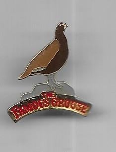 PRACHTIGE VOGEL DUIF DIEREN PIN, Verzamelen, Ophalen of Verzenden, Gebruikt, Dier of Natuur, Speldje of Pin