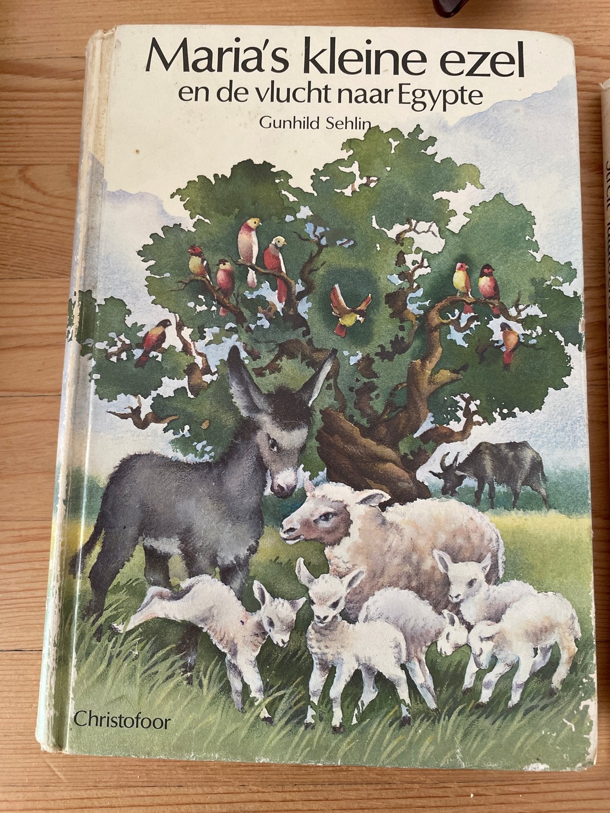 Maria's kleine ezel en de vlucht naar Egypte - Gunhild Sehli, Boeken, Ophalen of Verzenden, Gelezen, Fictie algemeen