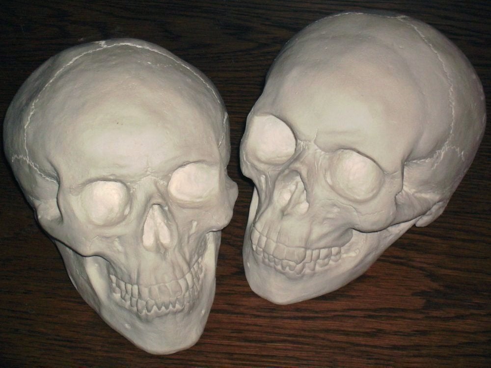 gipsen Schedels, medium-maat BESCHILDERBARE blanco Skulls, Ophalen of Verzenden, Nieuw