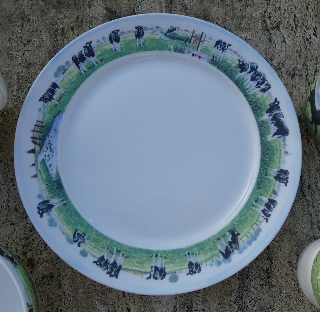 Diverse delen Nieuw Wiebe van de Zee Servies, Overige merken, Landelijk/Boerenbont, Nieuw, Ophalen of Verzenden