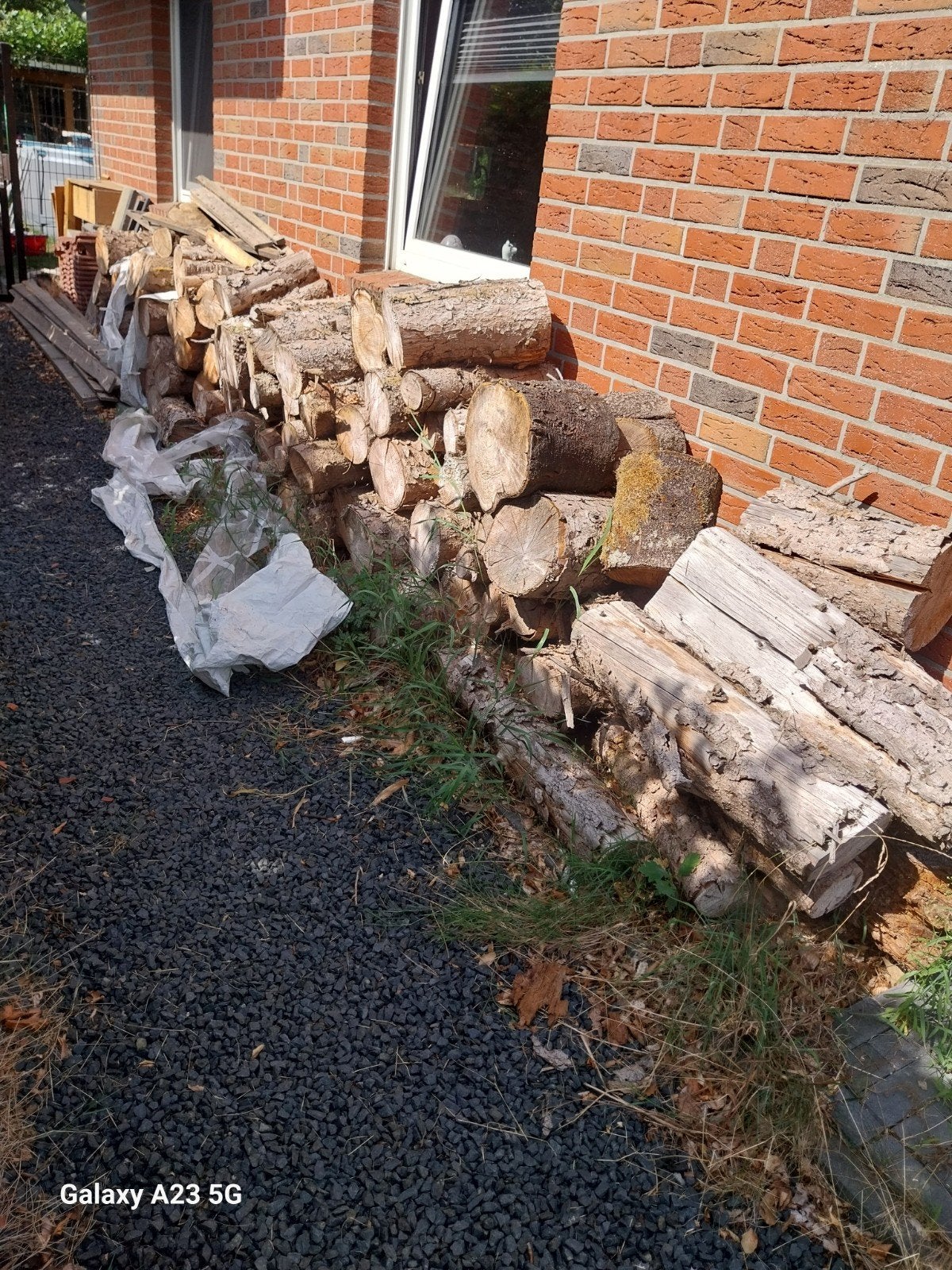 Dennenhout (Droog), Tuin en Terras, Haardhout, 3 tot 6 m³, Ophalen, Overige houtsoorten, Stammen