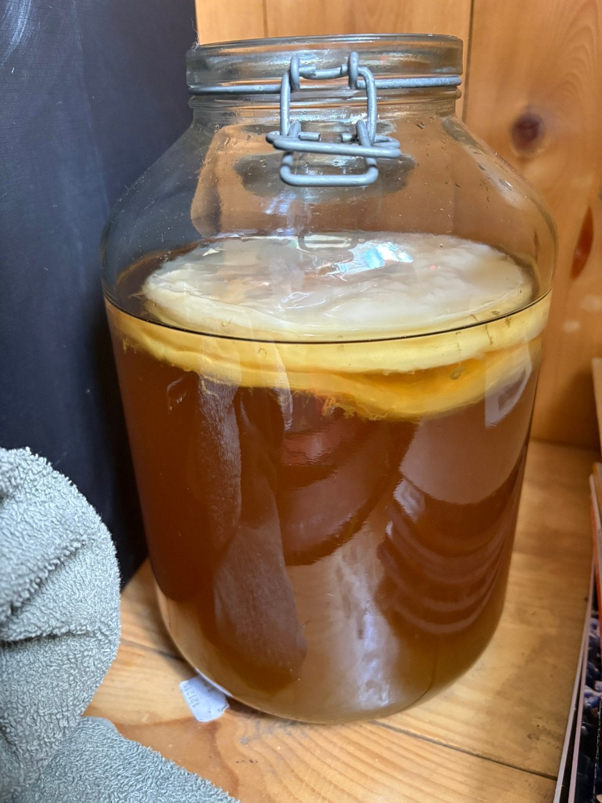 Kombucha zwam, Ophalen of Verzenden