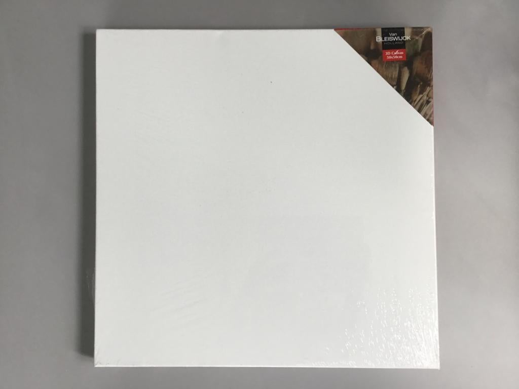 Nieuw Canvas Schilderdoek 50x50cm - Van Bleswijk Holland, Ophalen of Verzenden, Zo goed als nieuw, Doek