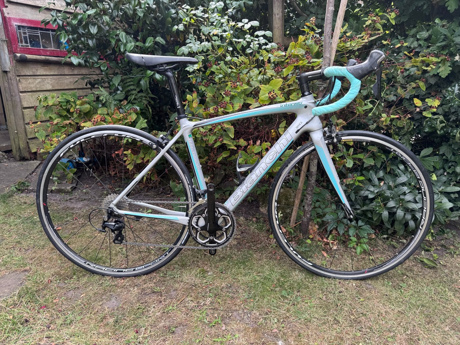 Bianchi Intenso Dama Bianca Carbon racefiets, 28 inch, Carbon, Velgrem, Zo goed als nieuw
