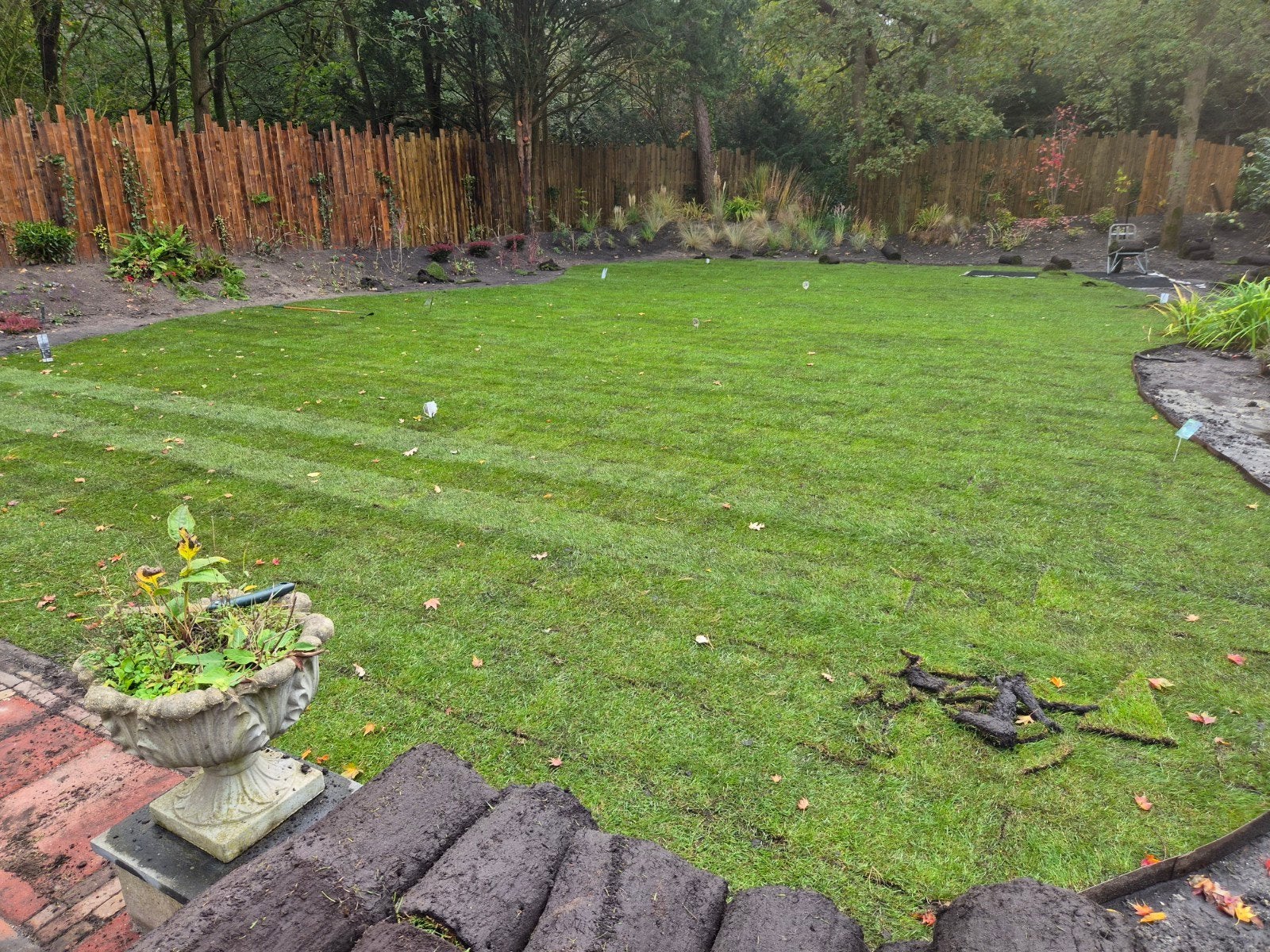 Vers grasmatten van 1m² per rol voor  prachtig gazon, Ophalen, Nieuw, 20 m² of meer, Gras