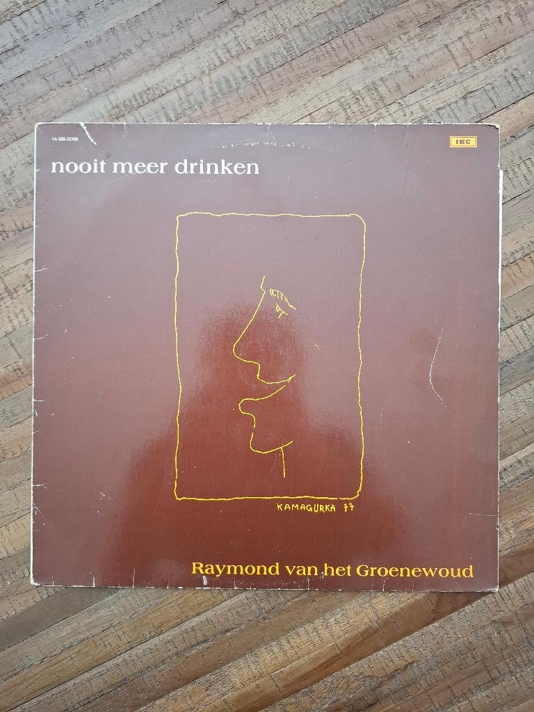 Raymond van het Groenewoud - Nooit Meer Drinken, Gebruikt, Ophalen of Verzenden, 1970 - 1979, Pop