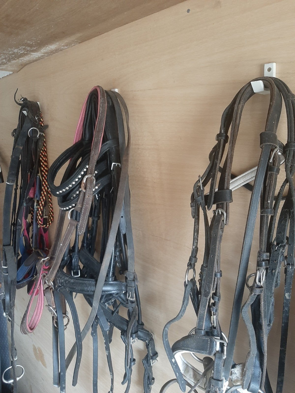 Paardenspullen diversen te koop !, Ophalen, Gebruikt, Halster, Overige maten