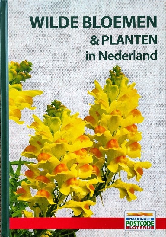 Wilde Bloemen En Planten In Nederland BOEK 9789464043181, Boeken, Ophalen of Verzenden, Zo goed als nieuw, Bloemen, Planten en Bomen