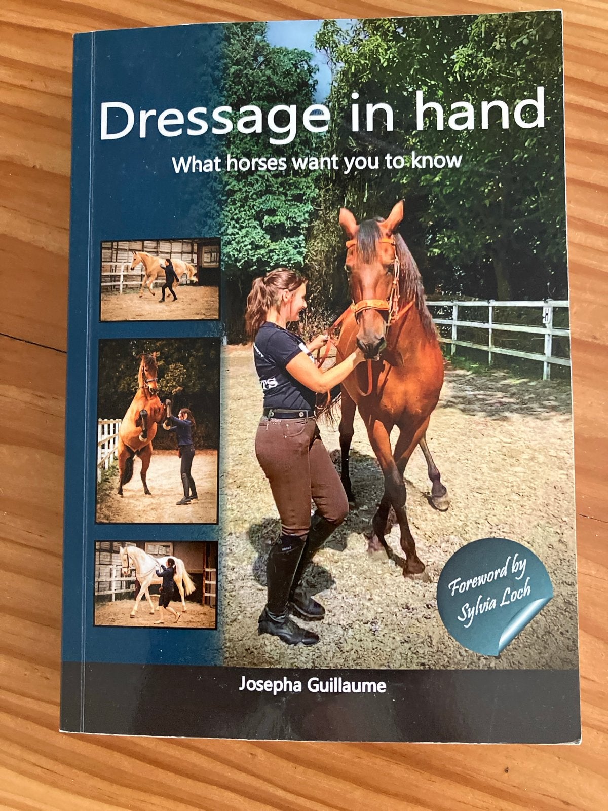 Dressage in Hand: Wat paarden je willen laten weten, Ophalen of Verzenden, Zo goed als nieuw