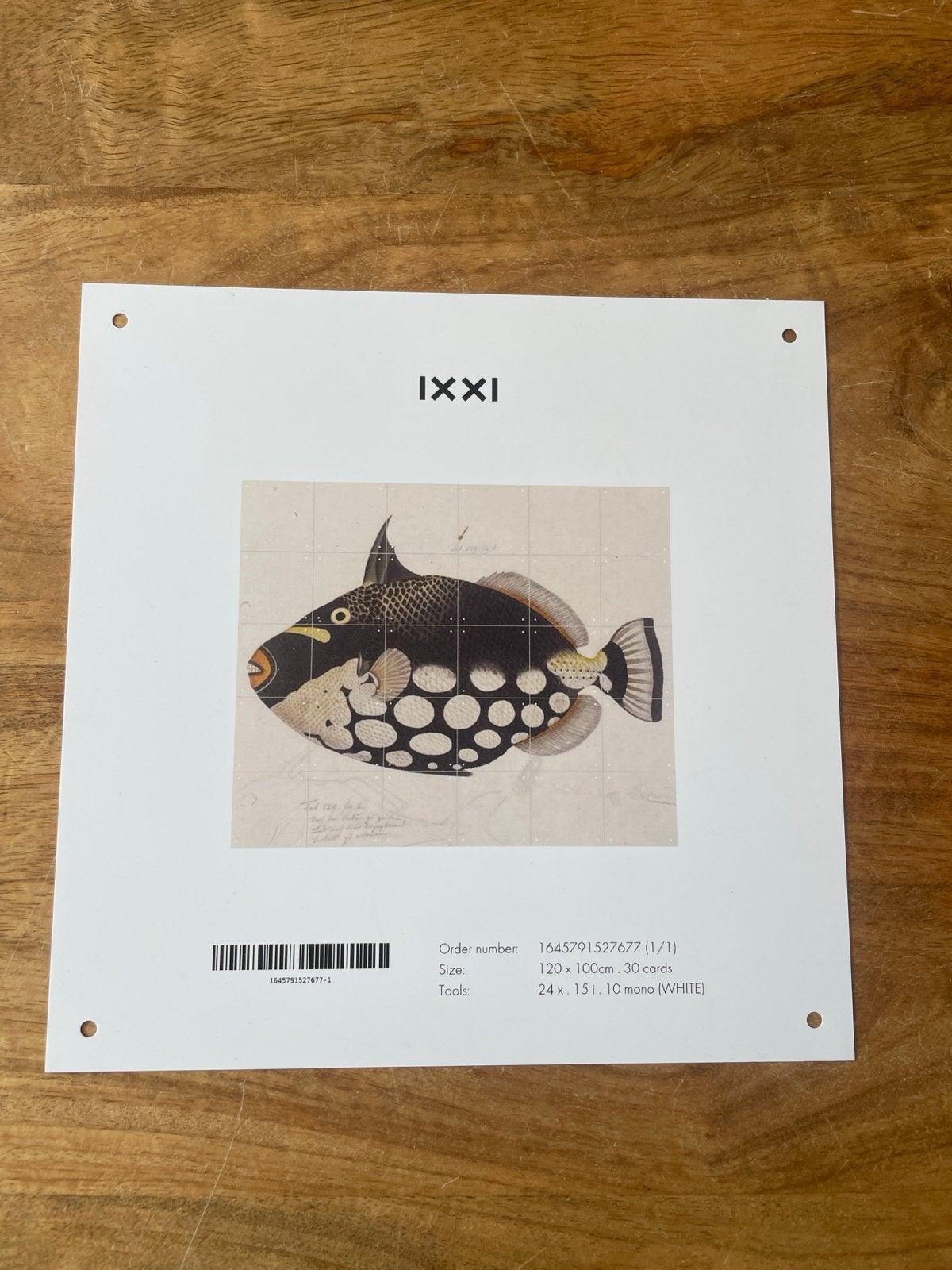 IXXI Wanddecoratie Vis - Zo goed als nieuw, Meerkleurig, Papier/karton, Ophalen of Verzenden, Zo goed als nieuw