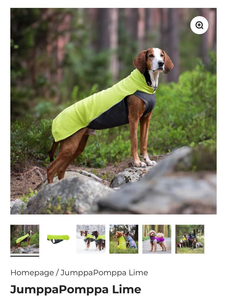 Jumppa Pomppa nieuwe trui maat 60 lime, Ophalen, Nieuw, Hondentrui