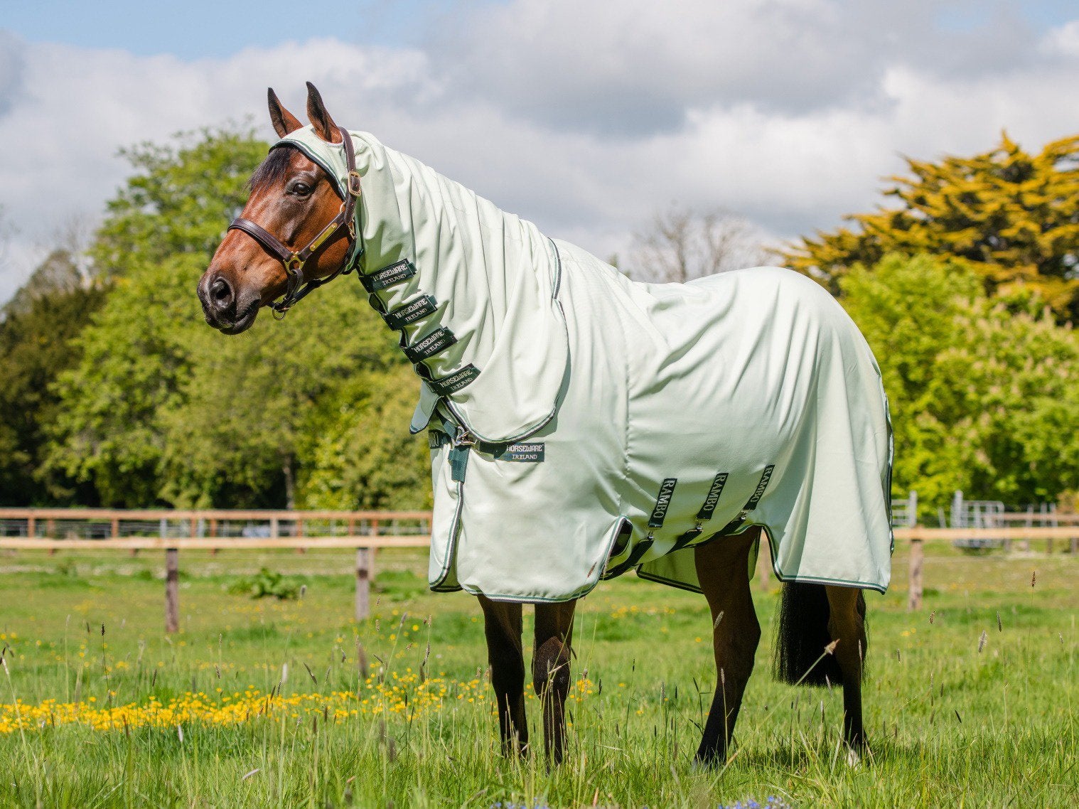 Rambo Sweet Itch Hoody, Rambo, UV-werend, Ophalen of Verzenden, Eczeemdeken