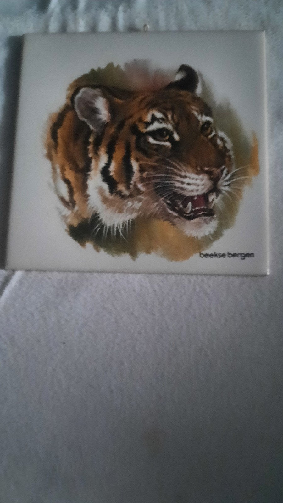 Tegeltje Beekse Bergen met tijgerprint., Ophalen