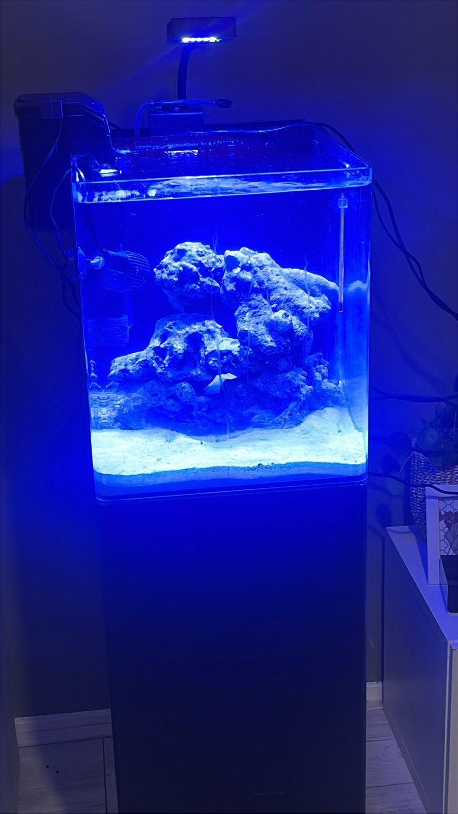 Compleet aquarium, Ophalen of Verzenden, Zo goed als nieuw